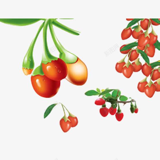 中国风枸杞 长寿文化与农产品的创意融合