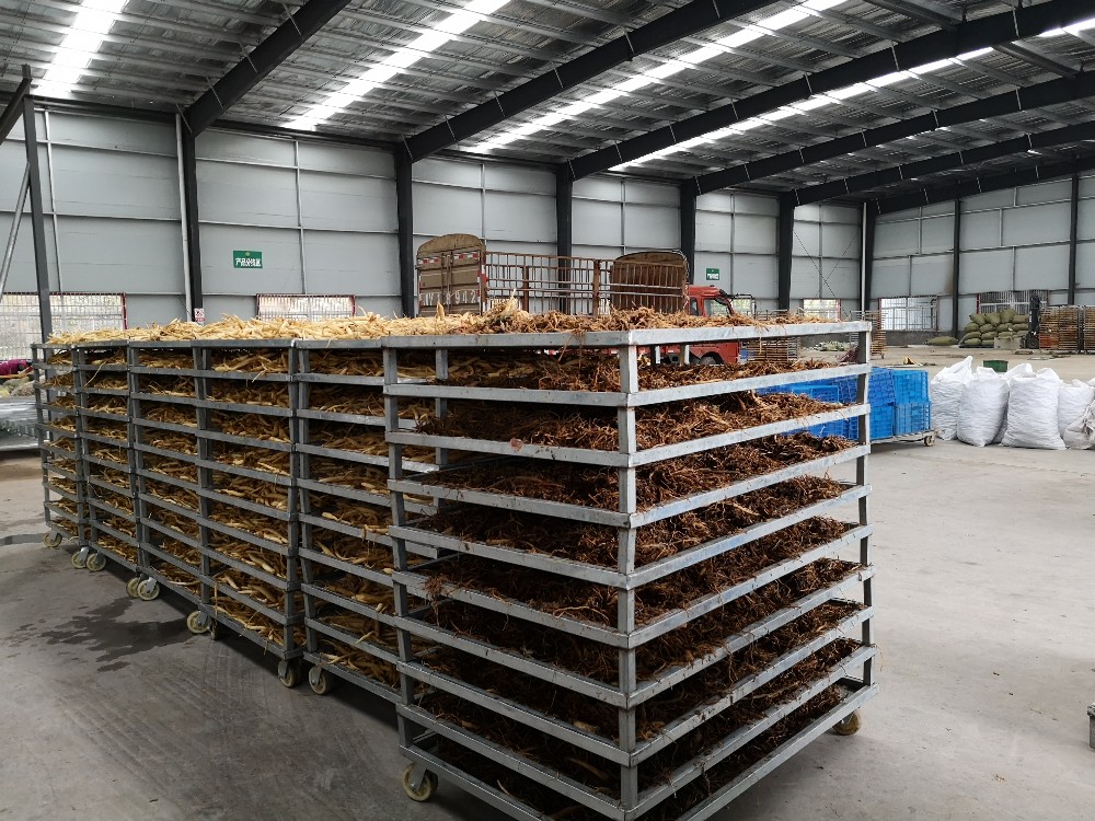 巴中凌云农产品加工厂与冷链物流集配中心 推动区域农业产业升级