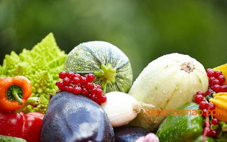 安全农产品 生产、厂家与价格分析