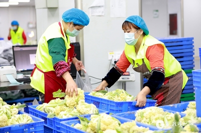 遵义汇川 “智慧对接”让农产品更畅销