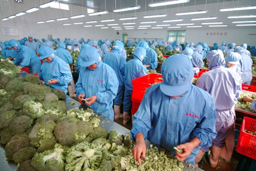 农产品初加工机械补贴力度加大，助力农业现代化发展