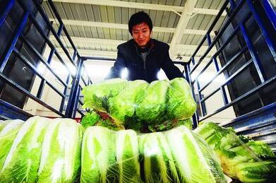 农产品的多样性与重要性