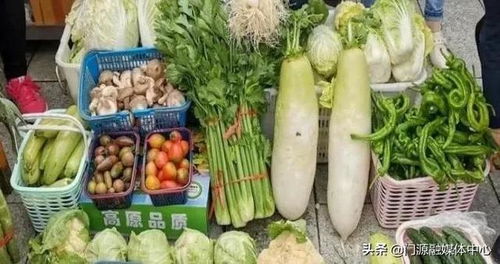 门源 夯实绿色有机发展基础，全面推进农产品绿色生产