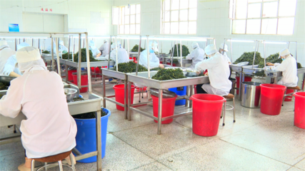 外贸经济稳中有进 农产品出口持续增长