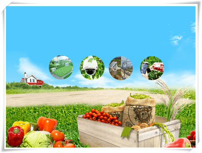 农业溯源 实现真正的农产品食品安全