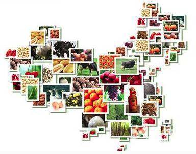 网红爆款农产品如何诞生 从田间地头到流量餐桌的打造之路