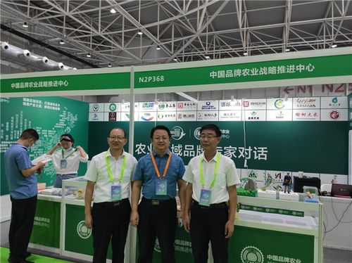 庆丰收盛会，展品牌风采 中国品牌农产品展销活动青岛启幕，邹城蘑菇闪耀全场