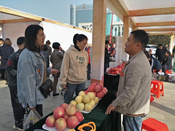 苏村乡特色农产品俏销金城果会